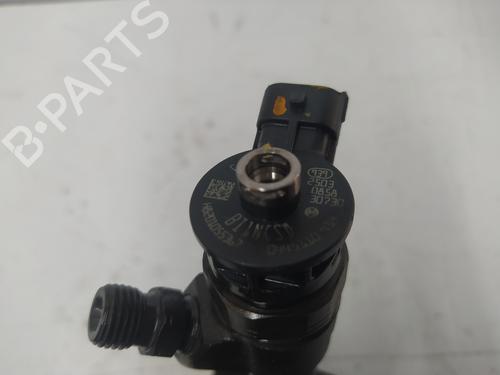 Injector NISSAN QASHQAI / QASHQAI +2 I (J10, NJ10, JJ10E)  | BP18109678M100 