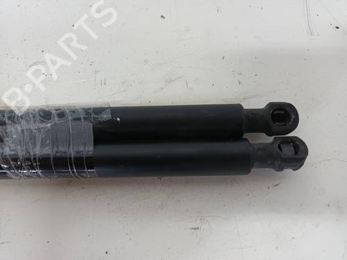 Tailgate lift support CHEVROLET LACETTI (J200)  | BP14156516C138