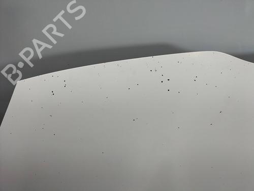 Hood TOYOTA COROLLA Verso (ZER_, ZZE12_, R1_)  | BP11137128C1