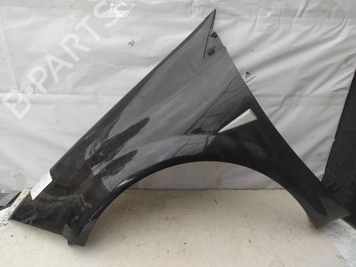Used Left front fenders RENAULT MEGANE II (BM0/1_, CM0/1_) [2001-2012]  11867997