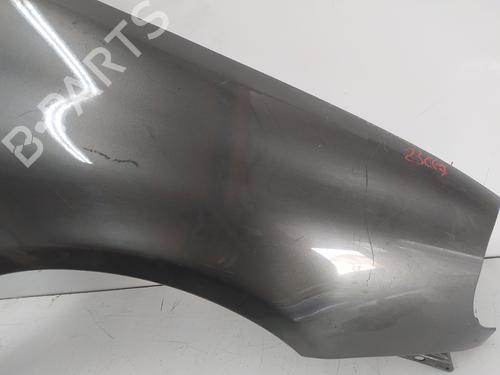 Right front fenders RENAULT CLIO II (BB_, CB_) 1.9 D (B/CB0J) | BP8706302C42 