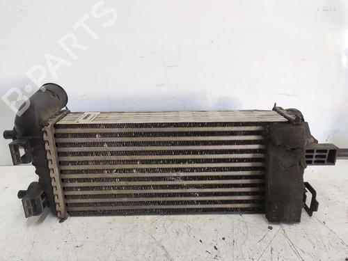 Intercooler FORD GRAND C-MAX (DXA/CB7, DXA/CEU)  | BP29907040M30