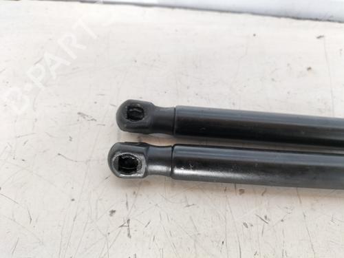 Tailgate lift support FORD FIESTA VI (CB1, CCN) 1.6 TDCi | BP14156550C138 