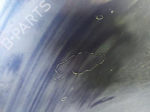 Hood VW GOLF V (1K1) | BP30111248C1