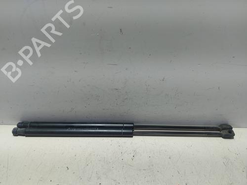 Used Tailgate lift support FIAT BRAVO II (198_) 1.6 D Multijet (198AXH1B) (105 hp) 19515287