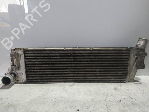Intercooler RENAULT MEGANE II (BM0/1_, CM0/1_) 1.9 dCi (BM0G, CM0G) (120 hp) 8711961