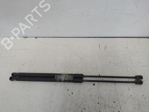 Used Tailgate lift support FORD FIESTA VI (CB1, CCN) 1.6 TDCi (90 hp) 25495145