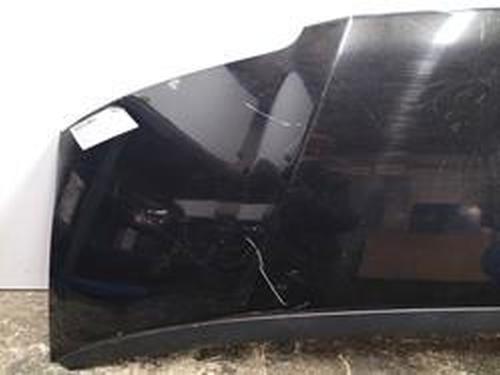 Hood SEAT ALHAMBRA (7V8, 7V9)  | BP8701308C1 