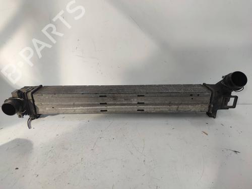 Intercooler RENAULT SCÉNIC III (JZ0/1_) [2008-2016]  11508076