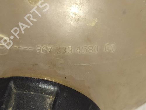 Expansion tank PEUGEOT PARTNER Box Body/MPV (5_, G_)  | BP29484070C120 