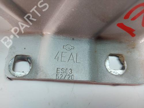 Hinge/Door check strap NISSAN QASHQAI II (J11, J11_)  | BP29541701C146 