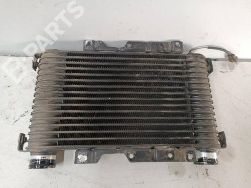 Used Intercooler Intercooler MITSUBISHI PAJERO II (V3_W, V2_W, V4_W, V5_W) 2.5 TD 4WD (V24W) (99 hp) 9397717 9397717