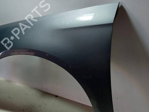 Left front fenders VW PASSAT B6 (3C2) 2.0 TDI 16V | BP17440851C41 