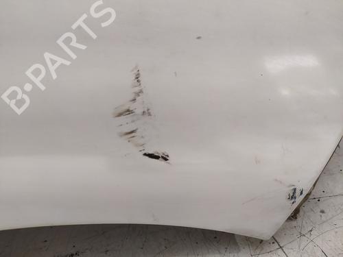 Right front fenders OPEL VIVARO A Van (X83) | BP30549304C42