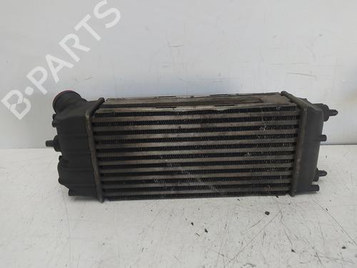 Intercooler FORD FIESTA VI (CB1, CCN) 1.6 TDCi | BP25495122M30 