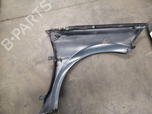 Left front fenders RENAULT MEGANE II (BM0/1_, CM0/1_) 1.9 dCi (BM0G, CM0G) | BP8709869C41 