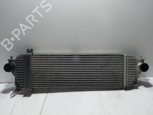 Ladeluftkühler für SUZUKI GRAND VITARA II (JT, TE, TD) [2005-2025]  29745148