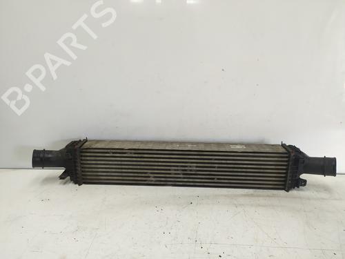 Intercooler AUDI A5 (8T3) | BP18110139M30