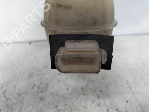 Expansion tank NISSAN PRIMASTAR Van (X83) 2.5 dCi 150 | BP11091265C120 