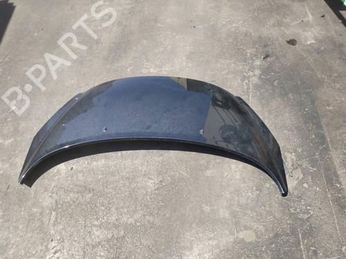 Used Hood PEUGEOT 207 (WA_, WC_) 1.4 HDi (68 hp) 18553149