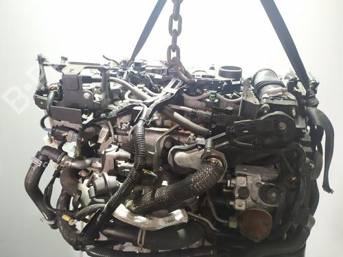 Engine FORD FIESTA VI (CB1, CCN) 1.6 TDCi | BP11701416M1 