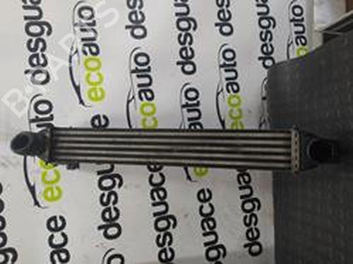 Used Intercooler CITROËN NEMO Box Body/MPV (AA_) [2008-2025]  8699737