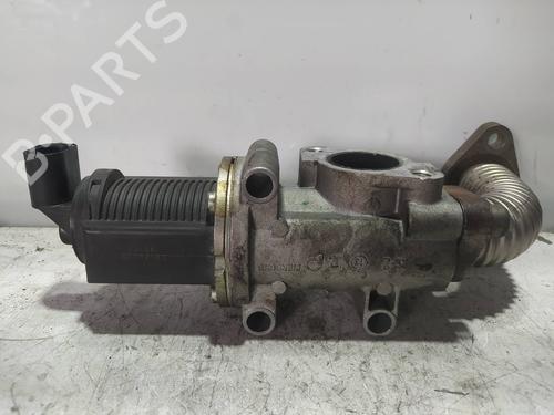 Egr FIAT GRANDE PUNTO (199_)  | BP13402542M69 