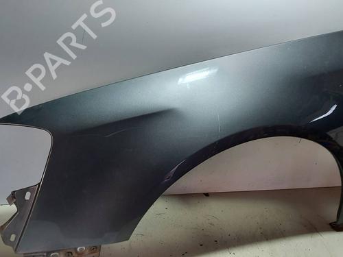 Left front fenders VW PASSAT B6 (3C2) 2.0 TDI 16V | BP17440851C41 
