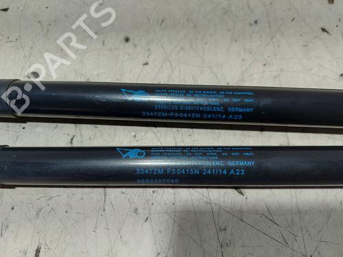 Tailgate lift support PEUGEOT 3008 I MPV (0U_) 1.6 BlueHDi 120 | BP18309983C138 