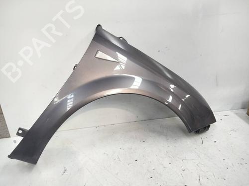Used Right front fenders RENAULT SCÉNIC II (JM0/1_) [2003-2010]  15278309