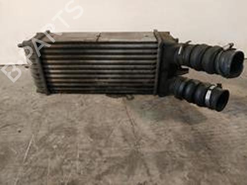 Intercooler CITROËN XSARA PICASSO (N68) 1.6 HDi (90 hp) 8718277