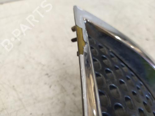 Grille PEUGEOT 3008 I MPV (0U_)  | BP30569905C40 