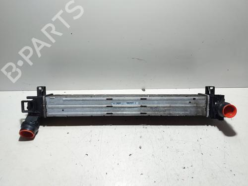 Intercooler RENAULT SCÉNIC III (JZ0/1_)  | BP18298651M30 