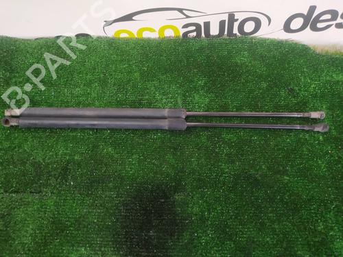 Used Tailgate lift support NISSAN X-TRAIL I (T30) 2.2 dCi 4x4 (136 hp) 14155890