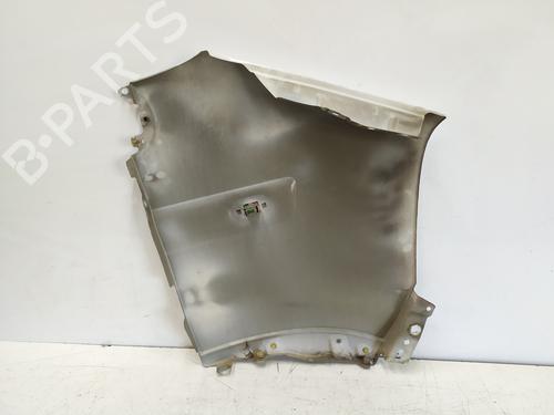 Left front fenders NISSAN INTERSTAR Van (X70) dCi 100 | BP25495157C41 