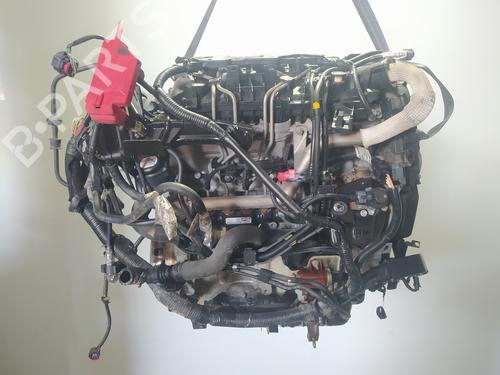 Motor Motor FORD FIESTA VI (CB1, CCN) 1.6 TDCi (90 hp) 34139108 34139108