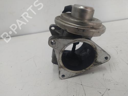Egr SEAT IBIZA III (6L1)  | BP18109494M69 