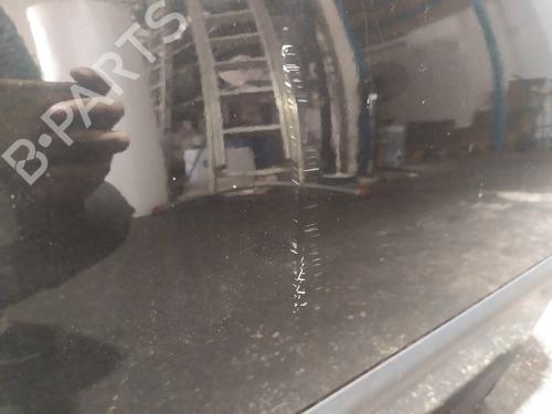 Left front door SEAT IBIZA III (6L1)  | BP29400663C2 