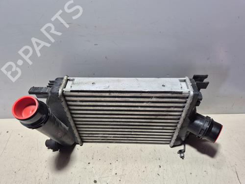 Intercooler RENAULT CLIO IV Grandtour (KH_) 0.9 TCe 90 | BP25938735M30 
