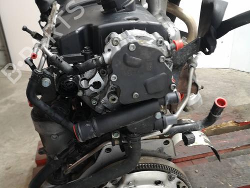 Engine SEAT IBIZA III (6L1)  | BP16082061M1 