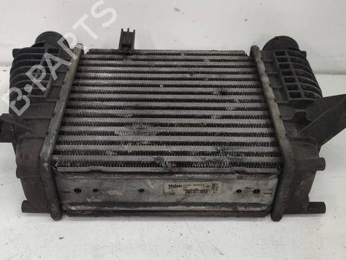 Intercooler RENAULT CLIO III (BR0/1, CR0/1) [2005-2014]  9587081
