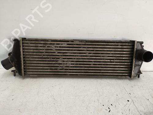 Intercooler OPEL VIVARO A Van (X83) [2001-2015]  30549321