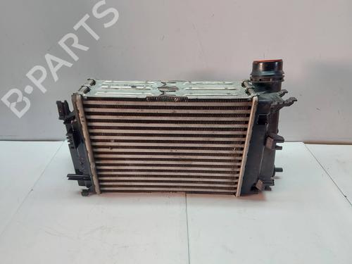 Intercooler NISSAN QASHQAI II (J11, J11_)  | BP29573777M30 