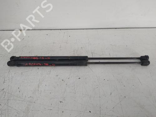 Used Tailgate lift support KIA PICANTO I (SA) 1.0 (61 hp) 14157091