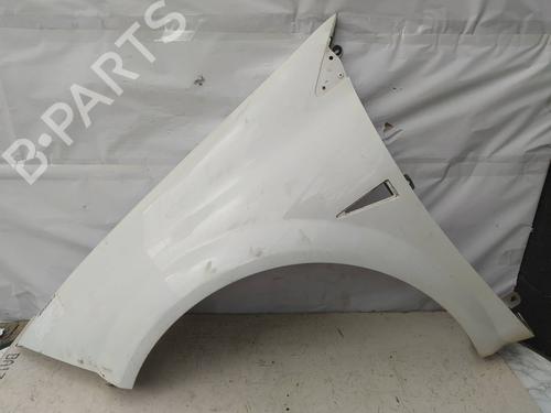 Used Left front fenders RENAULT MEGANE II (BM0/1_, CM0/1_) 1.5 dCi (BM1E, CM1E) (106 hp) 8714770