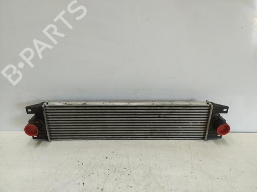 Intercooler NISSAN INTERSTAR Van (X70) dCi 100 (99 hp) 25495174