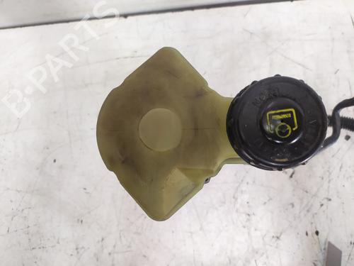 Steering pump RENAULT KANGOO (KC0/1_) 1.9 dCi 4x4 (KC0V) | BP37156685M99 - Image 6