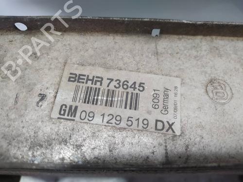 Intercooler OPEL ZAFIRA A MPV (T98) 2.2 DTI 16V (F75) | BP13361870M30 