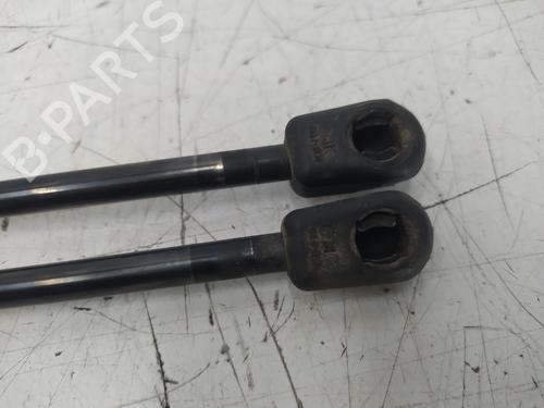 Tailgate lift support FORD FIESTA VI (CB1, CCN) 1.6 TDCi | BP25495145C138 