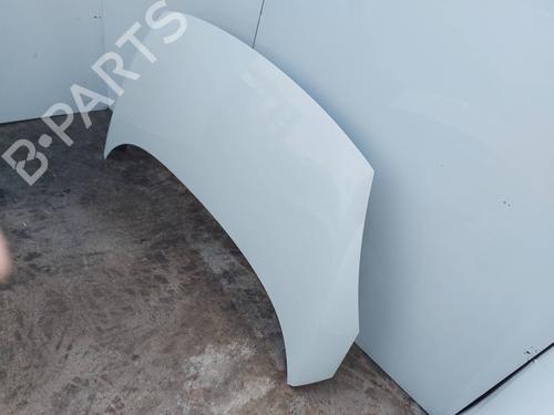 Hood RENAULT SCÉNIC III (JZ0/1_)  | BP29919048C1